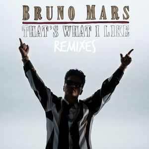 That's What I Like (Alan Walker Remix) - Bruno Mars封面