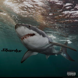 Sharks (Explicit)