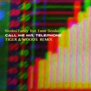 Call me Mr. Telephone (Tiger & Woods Remix)