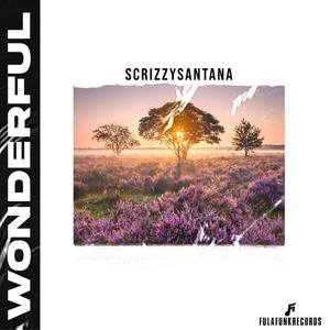 WONDERFUL (feat. ScrizzySantana)