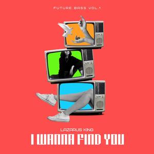 I Wanna Find You