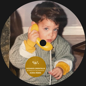 Revenge Of The Wankers (Kora Remix)