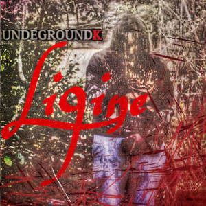 The biggest (feat. Li9ine) (Explicit)