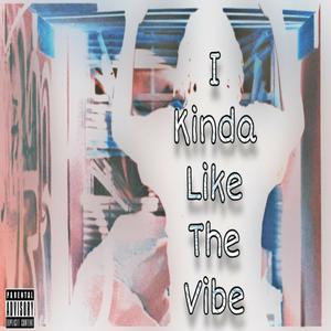 I Kinda Like The Vibe (Explicit)