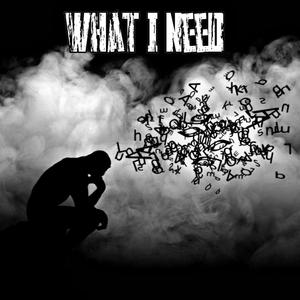What I Need (Explicit)