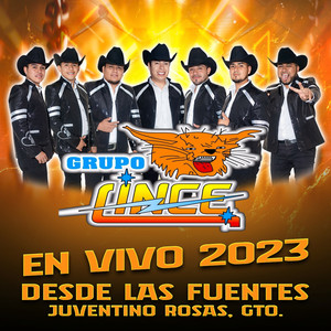 Las mojigangas/ El gato y yo