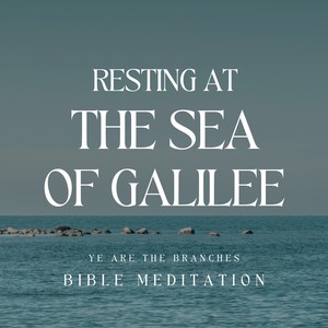 Resting at the Sea of Galilee (Bible Meditation)