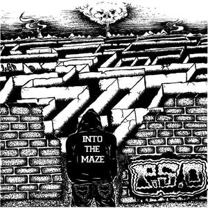 Into the Maze