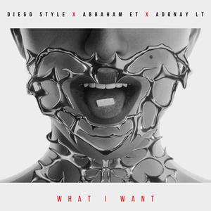 What I Want (feat. Diego Style & Adonay LT)