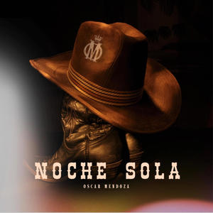 Para que quieres volver