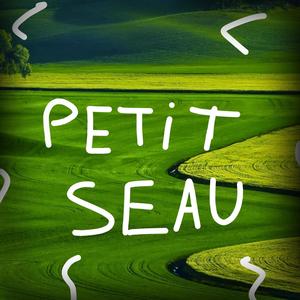 petit seau