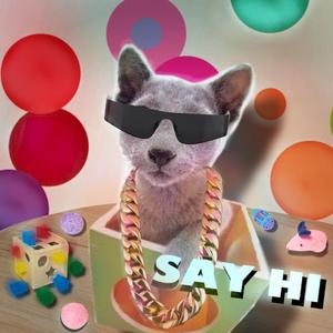 Say Hi (feat. Salvanic) (OG)