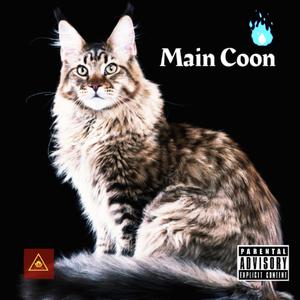 Main Coon (Explicit)