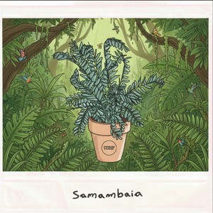 Samambaia (Explicit)