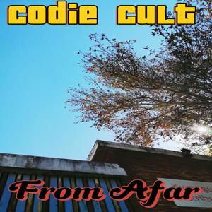 From Afar (Explicit)