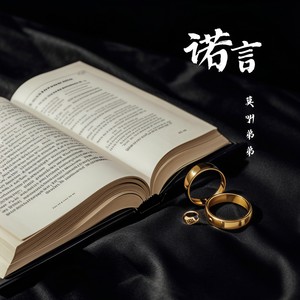 诺言 (烟嗓版)