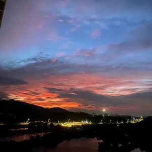 楼顶上的小斑鸠