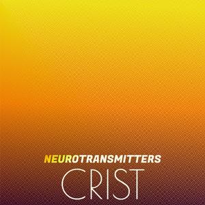 Neurotransmitters Crist