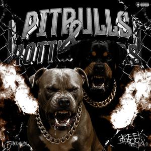 Pitbulls And Rottweilers (feat. Sunya kui)
