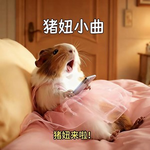 猪妞小曲 (电子仙女下凡)封面