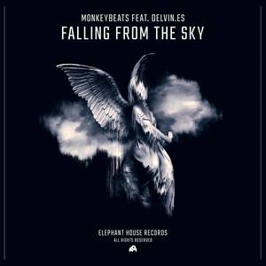 Falling From The Sky (feat. Delvin.es)