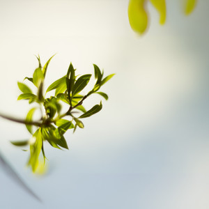 洛诗琴 - 一滴泪的时间 (热歌榜)