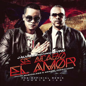 Se Acabo el Amor (Remix)