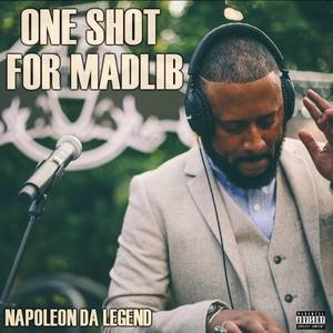 One Shot for Madlib