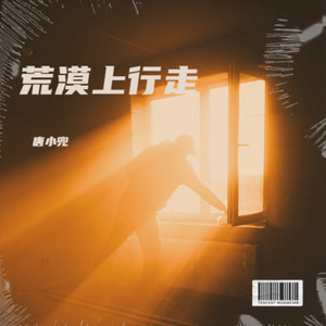 荒漠上行走