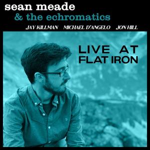 Within Water (feat. Jay Killman, Michael D'Angelo & Jon Hill) (Live at Flat Iron)