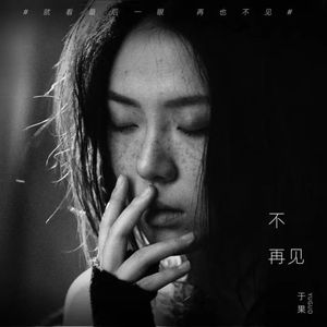 不再见封面