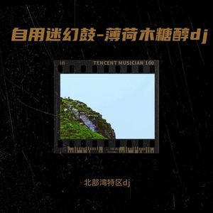 自用迷幻鼓-薄荷木糖醇dj (Remix)