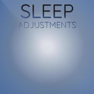 Sleep Adjustments