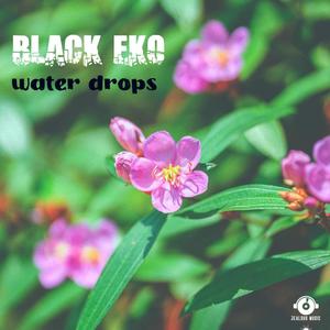 Water drops (feat. Alex Tassel)