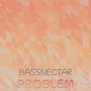 Bassnectar Problem