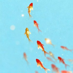 天涯-ProdbyMend&金亦&梦境里的人official