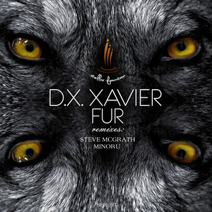 Fur (Steve McGrath Remix)