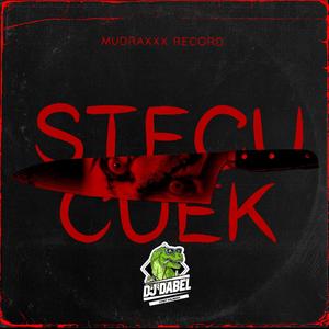 Stecu Cuek (Dj Dabel Remix)