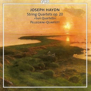 HAYDN, J.: Sun Quartets, Op. 20 (Pellegrini Quartet)