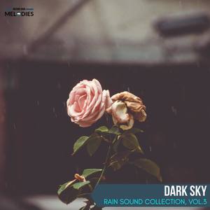 Dark Sky - Rain Sound Collection, Vol.3