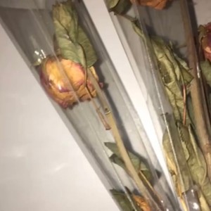 5 in the moring (feat. Lexxy)