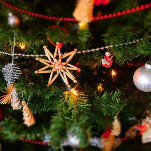 Torp - Zombie Night -Unholy Night