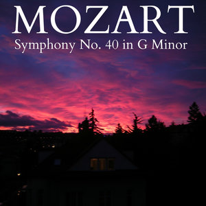 Symphony No. 40 in G Minor, K. 550 - I. Allegro Molto (G小调第40号交响曲，作品550 - 第一乐章 很快的快板)