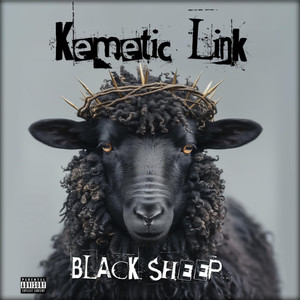 Black Sheep