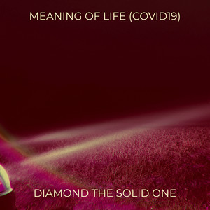 Meaning of Life (Covid19) (Explicit)