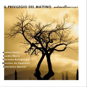 Ap(feat. Sandro Marra)