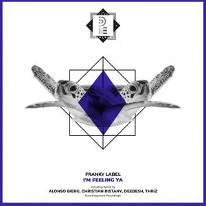 I'm Feeling Ya (Deebesh Remix)