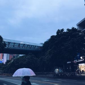 淋雨