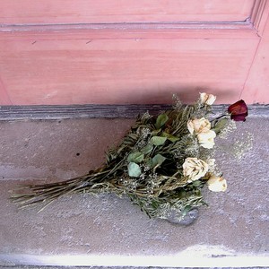 Roses On Your Doorstep