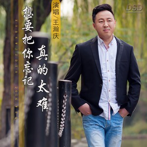 想要把你忘记真的太难